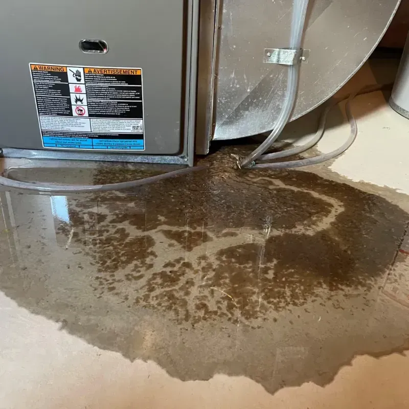 Appliance Leak Cleanup in Richmond, NH